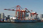 Dcim5704/DSC_0213