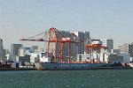 Dcim5704/DSC_0224