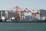 Dcim5704/DSC_0231