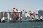 Dcim5704/DSC_0233