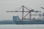 Dcim5705/DSC_8339