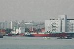 Dcim5705/DSC_8379