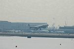 Dcim5705/DSC_8415