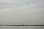 Dcim5706/DSC_8467