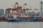 Dcim5706/DSC_8473
