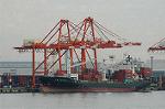 Dcim5706/DSC_8478