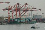 Dcim5706/DSC_8479