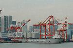 Dcim5706/DSC_8481