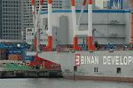 Dcim5706/DSC_8490