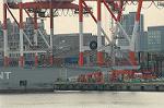 Dcim5706/DSC_8502