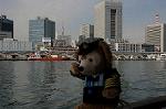 Dcim5707/DSC_3562