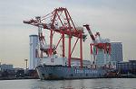 Dcim5707/DSC_3611