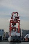 Dcim5707/DSC_3630