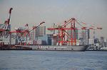 Dcim5708/DSC_3660
