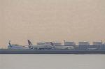 Dcim5708/DSC_3733