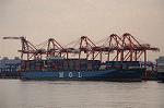 Dcim5709/DSC_3900