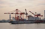 Dcim5710/DSC_3962