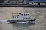 Dcim5710/DSC_3976