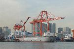 Dcim5711/DSC_0248