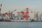 Dcim5711/DSC_0252