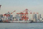 Dcim5711/DSC_0253