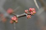 Dcim5713/DSC_8538