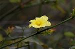Dcim5713/DSC_8614