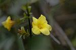 Dcim5713/DSC_8619