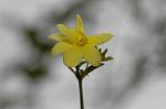Dcim5713/DSC_8624