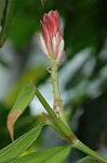 Dcim5714/DSC_8666