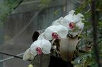 Dcim5714/DSC_8692