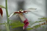 Dcim5714/DSC_8698