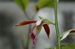 Dcim5714/DSC_8699