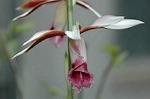 Dcim5714/DSC_8712