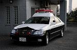 Dcim5717/DSC_4217
