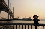 Dcim5717/DSC_4225