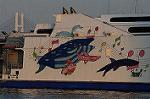 Dcim5723/DSC_4712