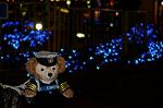 Dcim5725/DSC_4956