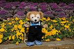 Dcim5739/DSC_6270