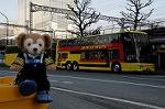 Dcim5739/DSC_6314