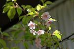 Dcim5740/DSC_8757