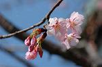 Dcim5740/DSC_8762