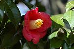 Dcim5740/DSC_8763