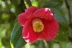 Dcim5740/DSC_8768