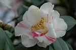 Dcim5740/DSC_8818