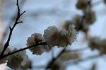 Dcim5740/DSC_8847