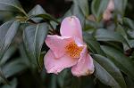 Dcim5740/DSC_8854