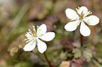 Dcim5741/DSC_8857