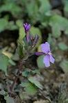 Dcim5741/DSC_8874