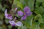 Dcim5741/DSC_8875